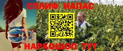стаф Аргун