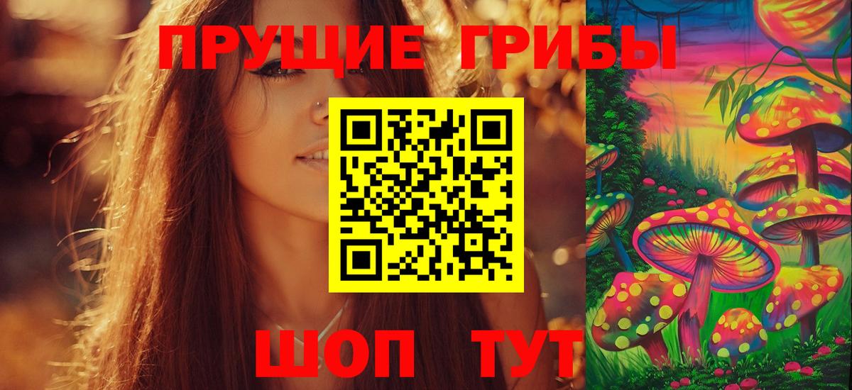 Псилоцибиновые грибы Psilocybine cubensis Владивосток