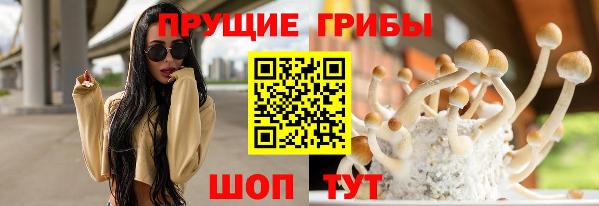 Владивосток  Галлюциногенные грибы Psilocybe  Галлюциногенные грибы Magic Shrooms  продажа наркотиков  Вход с VPN 